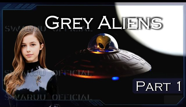 外星种族: 灰人(1) |小园丁和"大师" |泽塔网罟星系灰人的主要职责是保存地球上所有生物的DNA